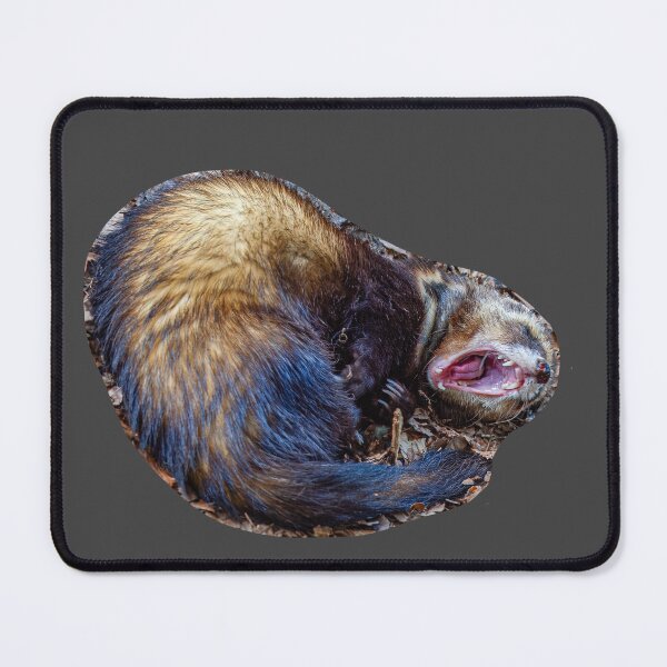 Item preview, Polecat just ROTFLMAO designed and sold by Dalyndigital Photography.