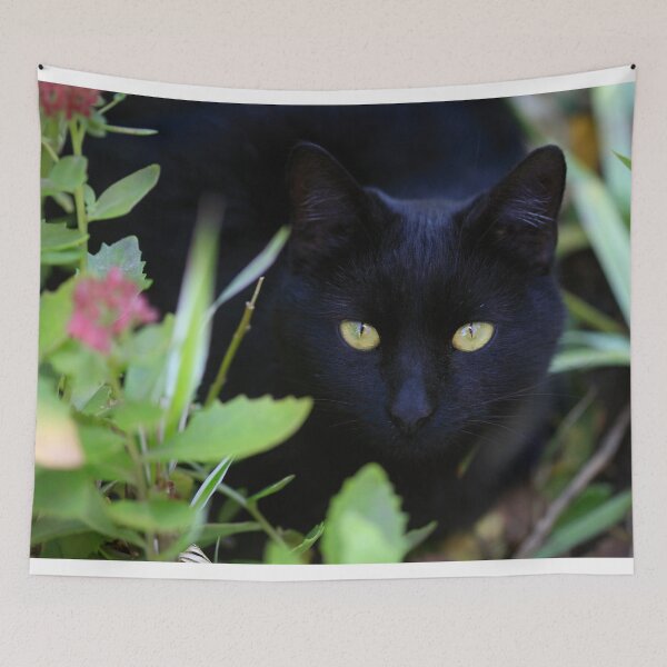 Item preview, Black cat sitting in garden designed and sold by olena2552.