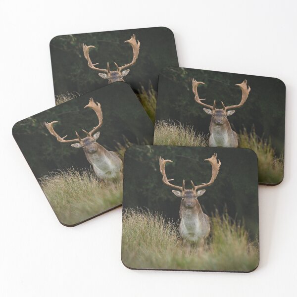 Item preview, Fallow Buck in Autumn designed and sold by ClaireChown.