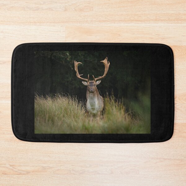 Item preview, Fallow Buck in Autumn designed and sold by ClaireChown.