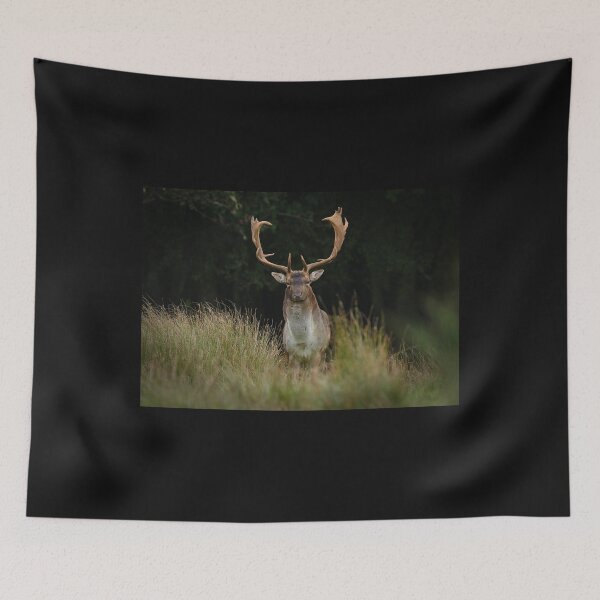 Item preview, Fallow Buck in Autumn designed and sold by ClaireChown.