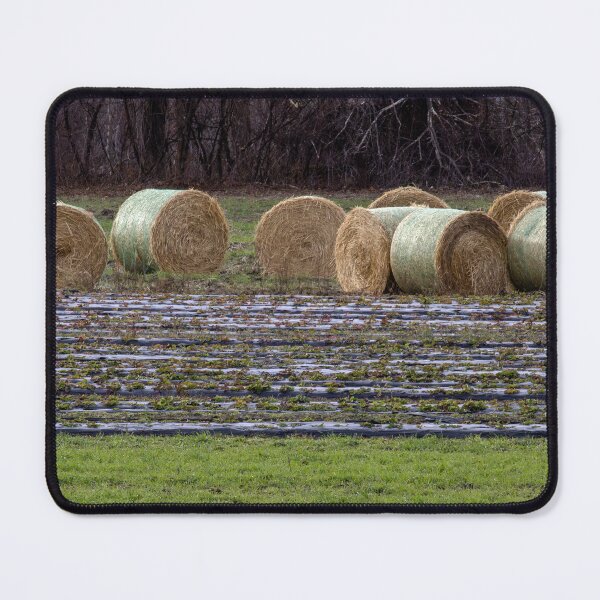 Item preview, Rolled Up designed and sold by Tim Dusenberry.