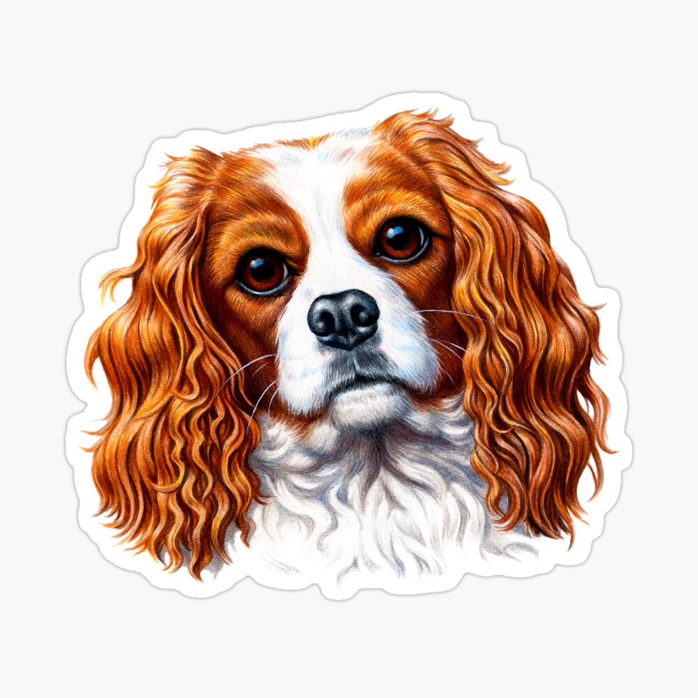 Cavalier King Charles Spaniel Full Face Mask By Fantasticdesign Redbubble