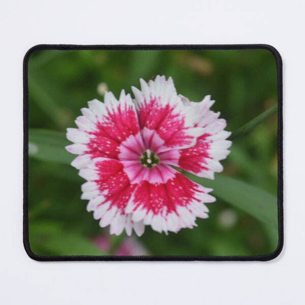Item preview, Tri-Coloured Flower Photography designed and sold by ThePhotograph03.