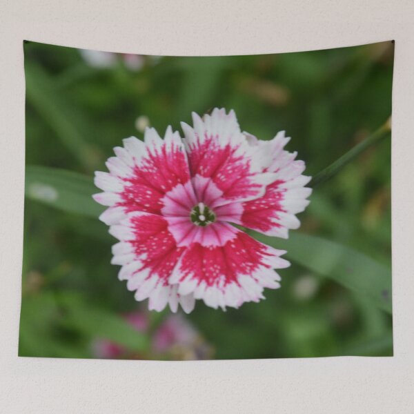 Item preview, Tri-Coloured Flower Photography designed and sold by ThePhotograph03.