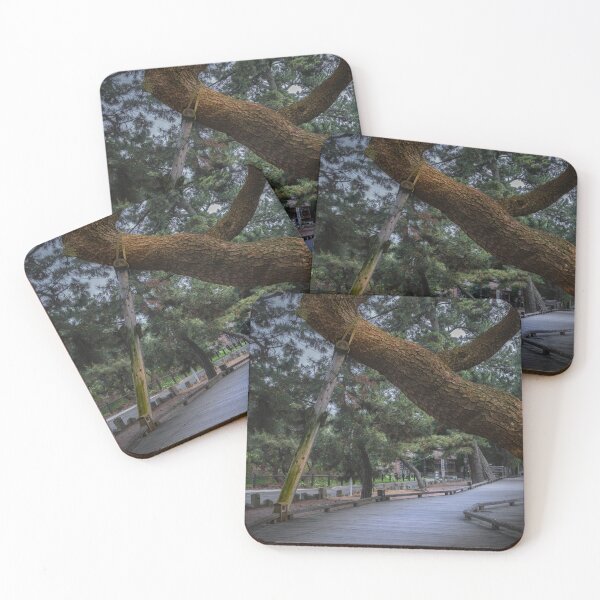 Item preview, Elegant Old Pine Tree on Miho Peninsula, Shizuoka, Japan designed and sold by Pix4Japan.