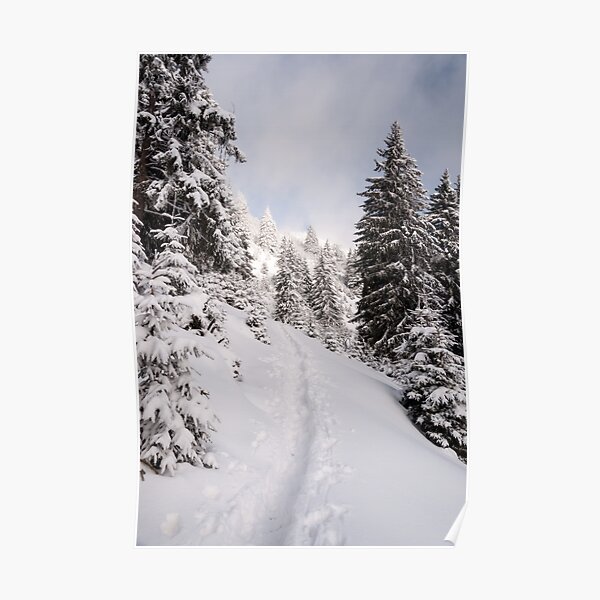 Trail Poster