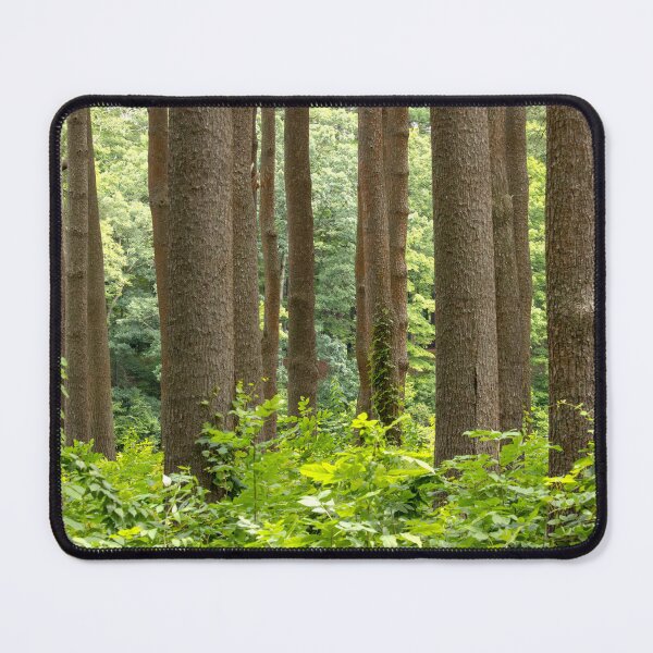 Item preview, The Forest designed and sold by Tim Dusenberry.