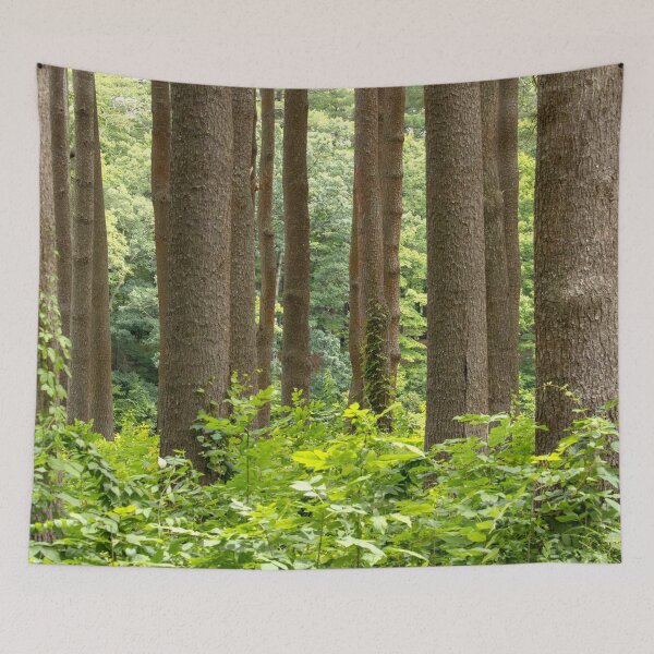 Item preview, The Forest designed and sold by Tim Dusenberry.