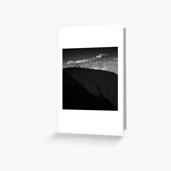 Trees in Flinders-15 Greeting Card