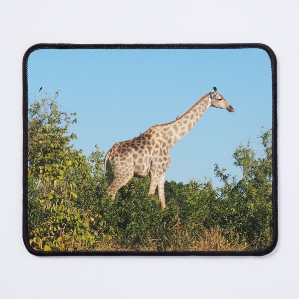 Item preview, Giraffe In The Wild designed and sold by TheAnimalZ00.