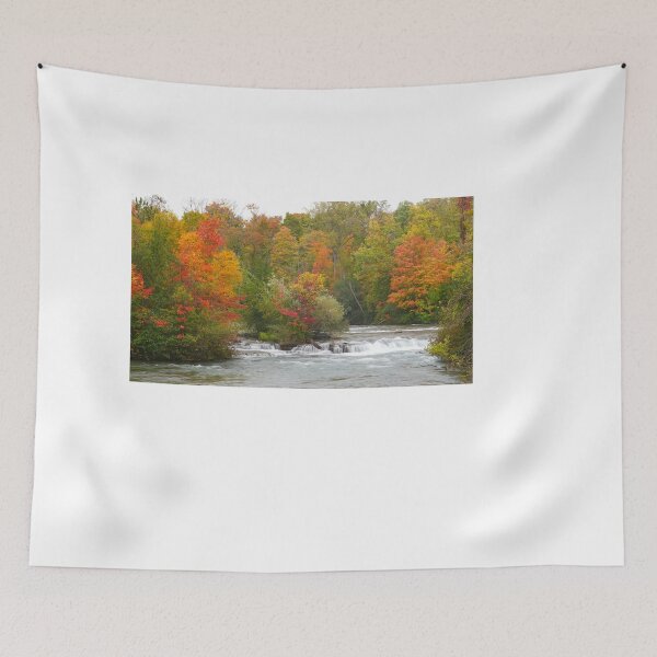 Item preview, Splendor of Goat Island - XI designed and sold by fototaker Tony.