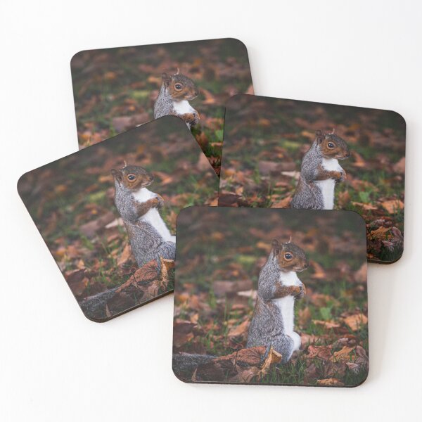 Item preview, Squirrel stood like a meerkat designed and sold by TJPhotography97.