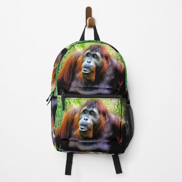 Item preview, Orangutan designed and sold by Savannah Gibbs.