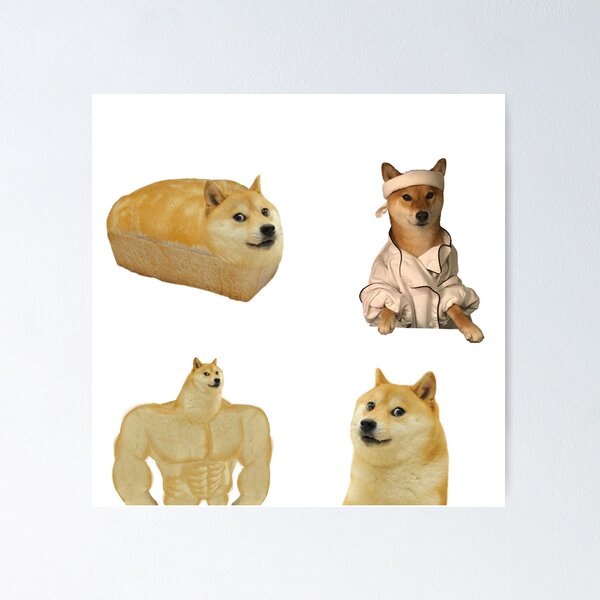 Shiba Inu Dogecoin GIF Internet meme, egypt dog transparent background PNG  clipart