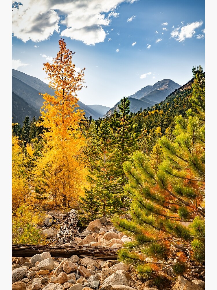 Mountain Sunrise in the Rockies - Estes Park Colorado Photograph by Gregory  Ballos - Fine Art America