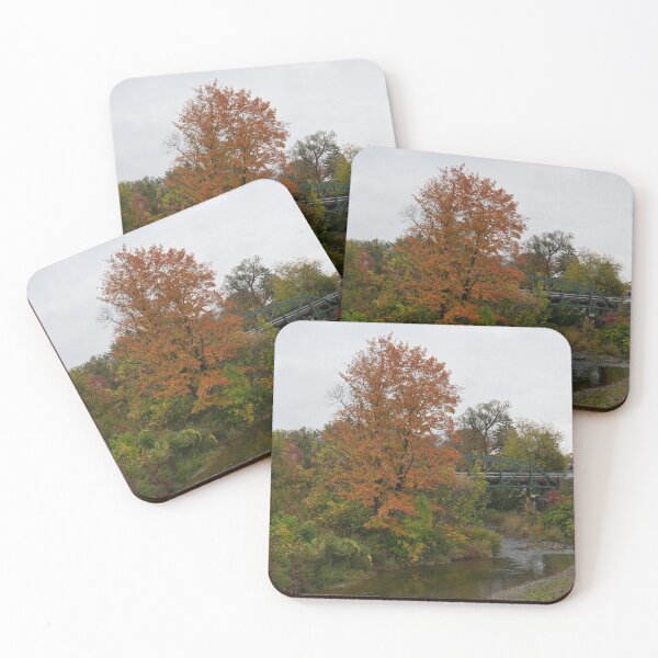Item preview, Cattaraugus Creek near the Arcade Railroad Station designed and sold by fototaker Tony.