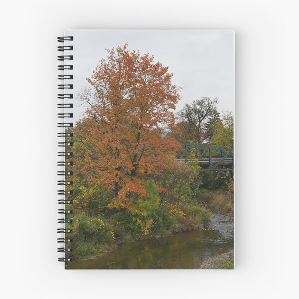 Item preview, Cattaraugus Creek near the Arcade Railroad Station designed and sold by fototaker Tony.