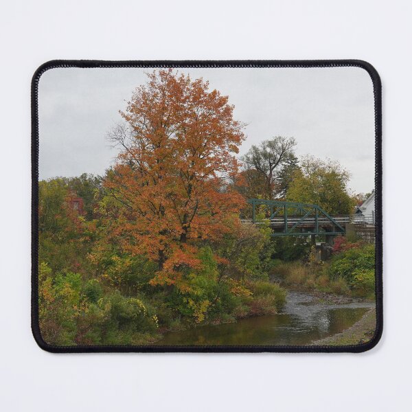 Item preview, Cattaraugus Creek near the Arcade Railroad Station designed and sold by fototaker Tony.