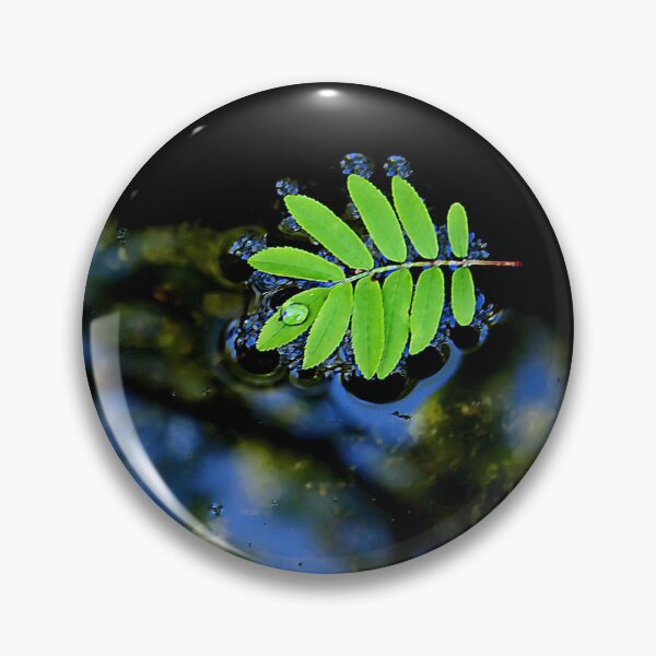 Item preview, Floating leaf designed and sold by AnthonyThomas.