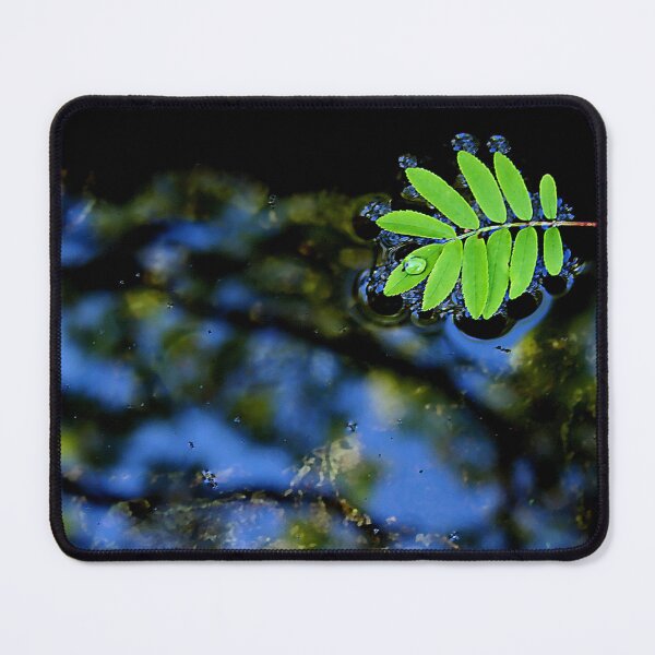 Item preview, Floating leaf designed and sold by AnthonyThomas.