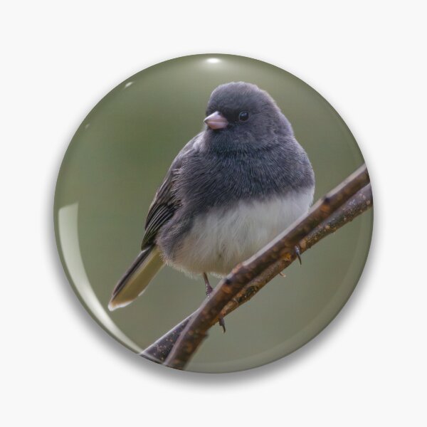 Item preview, Dark-Eyed Junco 1 designed and sold by RickShag.