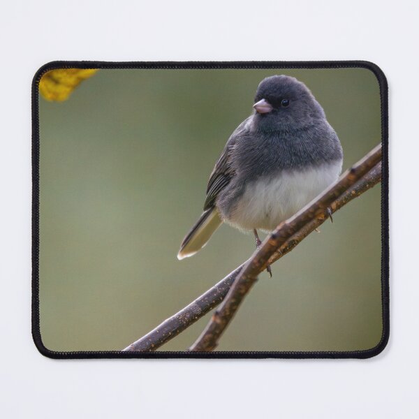 Item preview, Dark-Eyed Junco 1 designed and sold by RickShag.