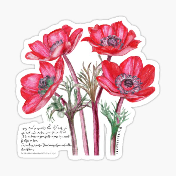 Item preview, Like A Wildflower, Rachel Shapira // כמו צמח בר, רחל שפירא designed and sold by lifeachadassah.