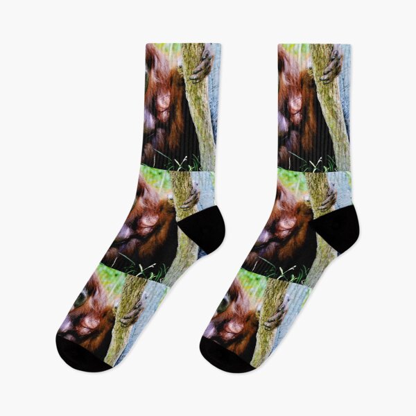 Item preview, Orangutan designed and sold by Savannah Gibbs.