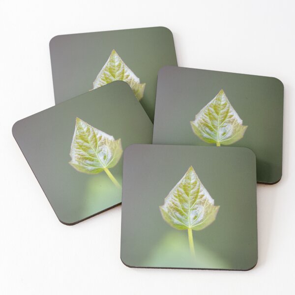 Item preview, Growth designed and sold by BryanJollyPhoto.