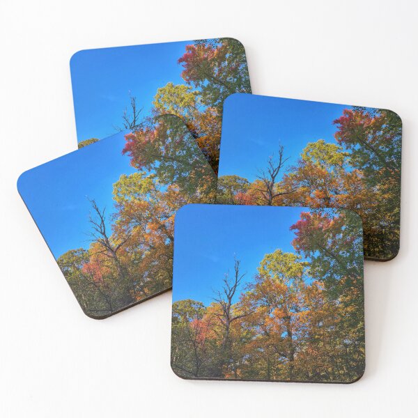 Item preview, A Chorus Line Of Autumn Trees designed and sold by TwistedP-Photos.