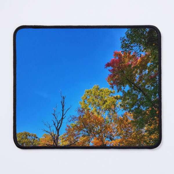 Item preview, A Chorus Line Of Autumn Trees designed and sold by TwistedP-Photos.