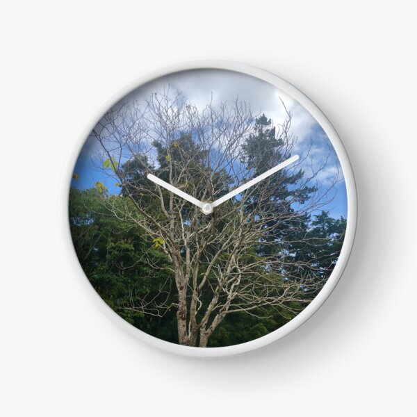 Item preview, Bare Tree In The Park designed and sold by Michael McGimpsey.