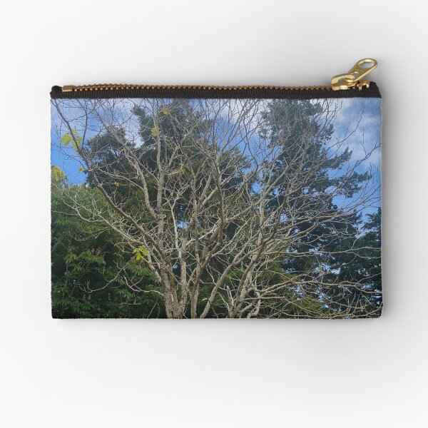 Item preview, Bare Tree In The Park designed and sold by Michael McGimpsey.