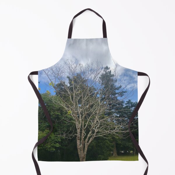 Item preview, Bare Tree In The Park designed and sold by Michael McGimpsey.