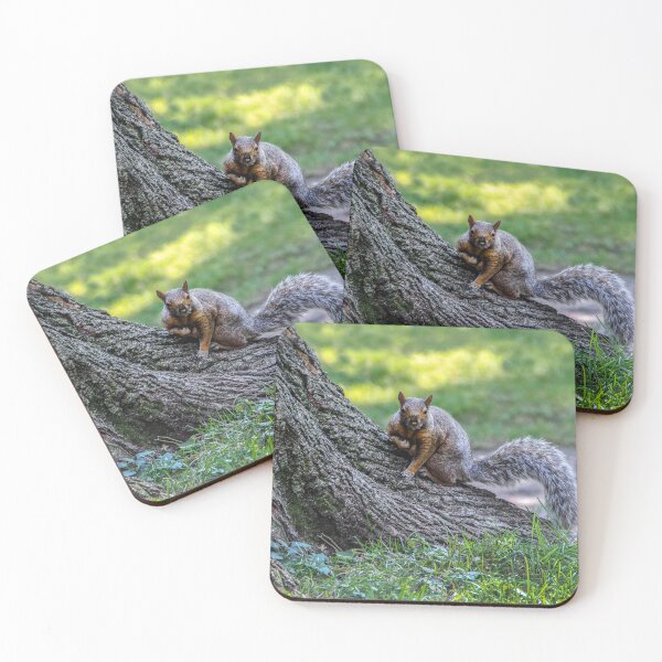 Item preview, Got Any Nuts? designed and sold by heatherfriedman.