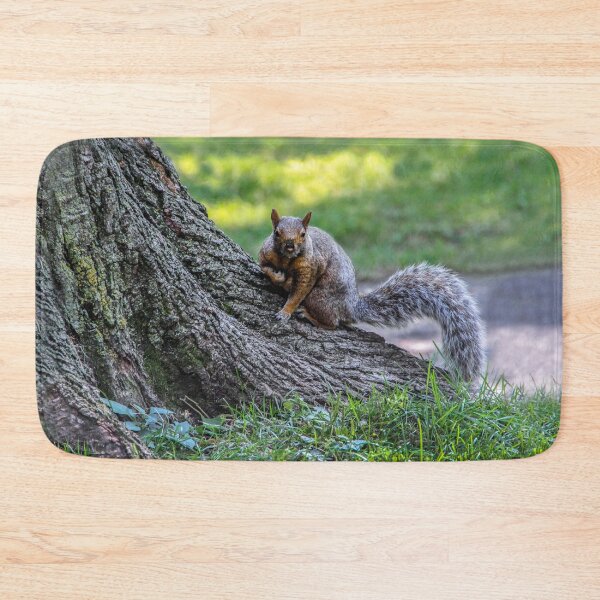Item preview, Got Any Nuts? designed and sold by heatherfriedman.