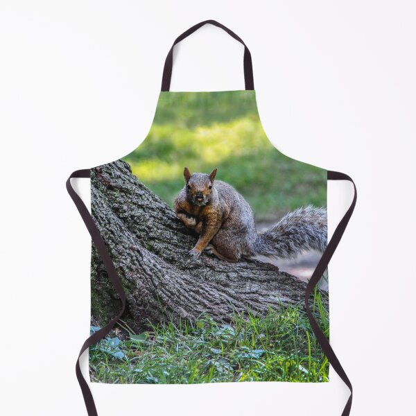 Item preview, Got Any Nuts? designed and sold by heatherfriedman.