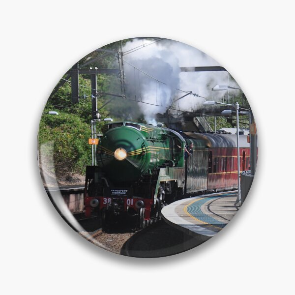 Item preview, 20231015 Otford Stn, NSW - 3801 designed and sold by muz2142.