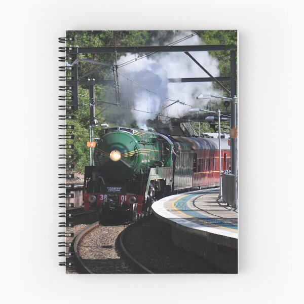 Item preview, 20231015 Otford Stn, NSW - 3801 designed and sold by muz2142.