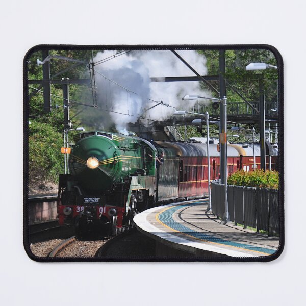 Item preview, 20231015 Otford Stn, NSW - 3801 designed and sold by muz2142.