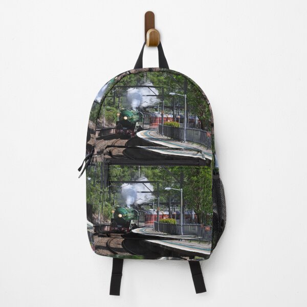 Item preview, 20231015 Otford Stn, NSW - 3801 designed and sold by muz2142.