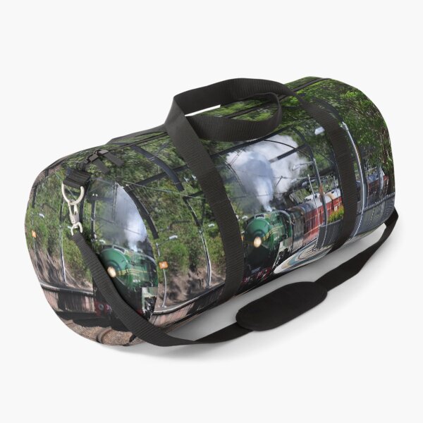 Item preview, 20231015 Otford Stn, NSW - 3801 designed and sold by muz2142.