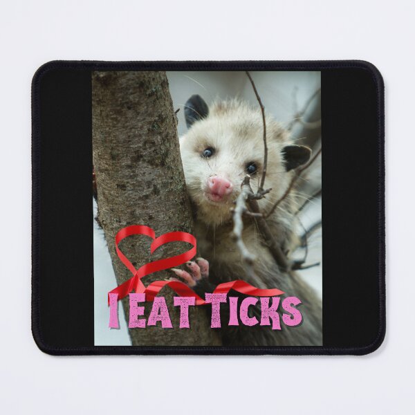 Item preview, I Eat Ticks Sweet Opossum Wildlife Photo Design designed and sold by EarthArtDesigns.
