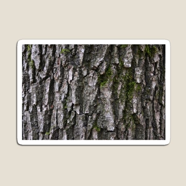 Item preview, Bark designed and sold by Cecil Bee.