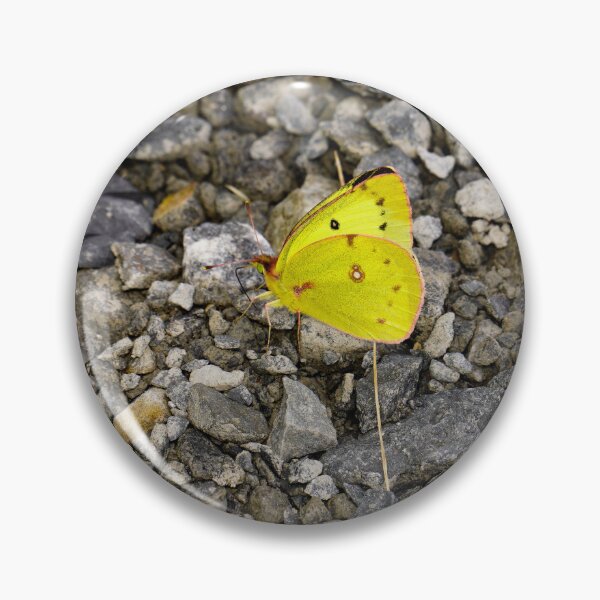 Item preview, Yellow butterfly designed and sold by mylensflow.