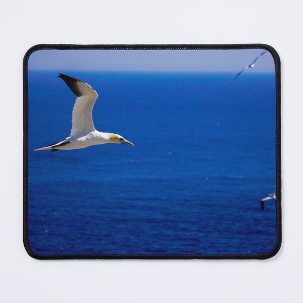 Item preview, Gannets  designed and sold by mylensflow.