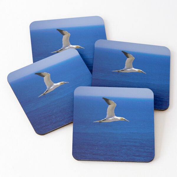 Item preview, Gannets  designed and sold by mylensflow.