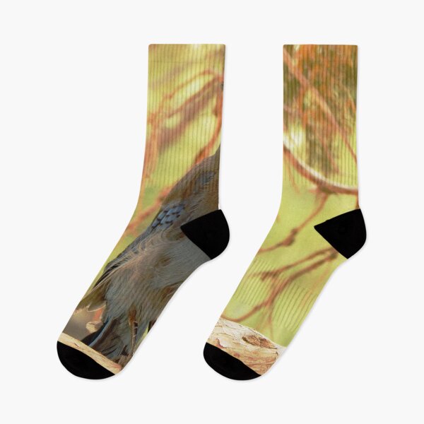 Item preview, Steller's Jay Bryce Canyon National Park designed and sold by gistinker.
