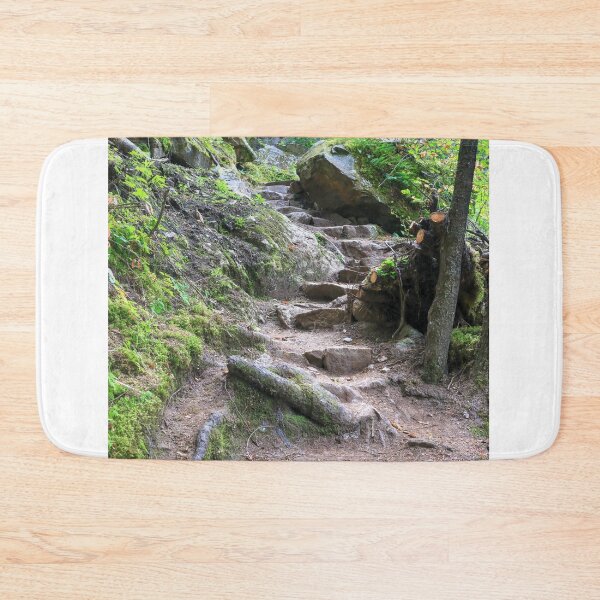 Item preview, Chilkoot trail at Dyea designed and sold by zumi.